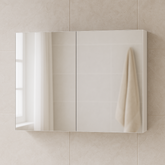 Matte White Rectangle Mirror Cabinet